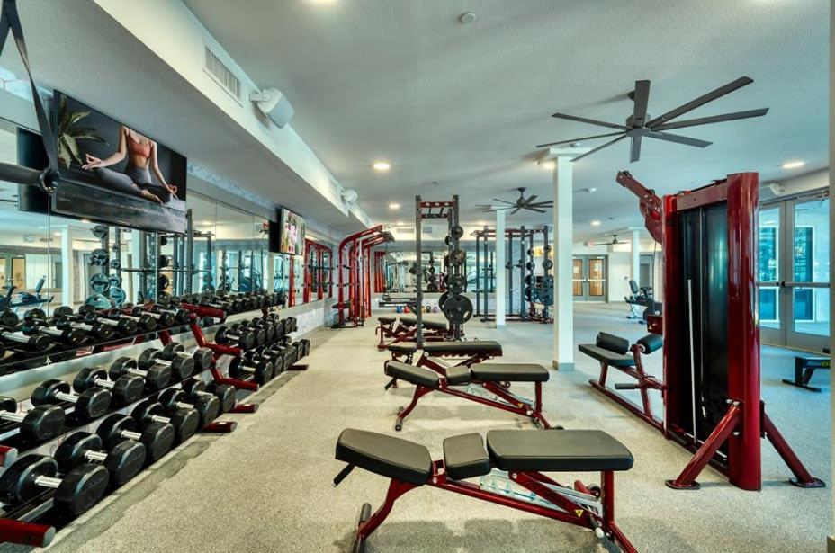 Cozysuites Phx Roro Gym, Pool, Pets, Parking! #9 피닉스 외부 사진